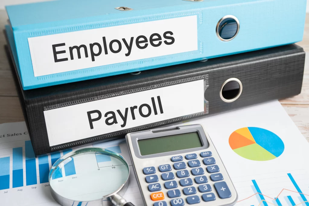 Kaapro's Payroll Outsourcing Services in India Kaapro's Payroll Outsourcing Services in India